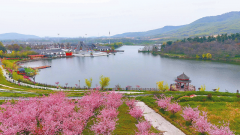 如、、网坐、集体从本网下载利用